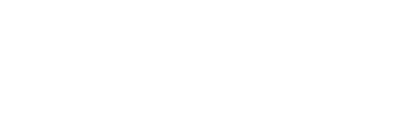 Champion Payer Solutions